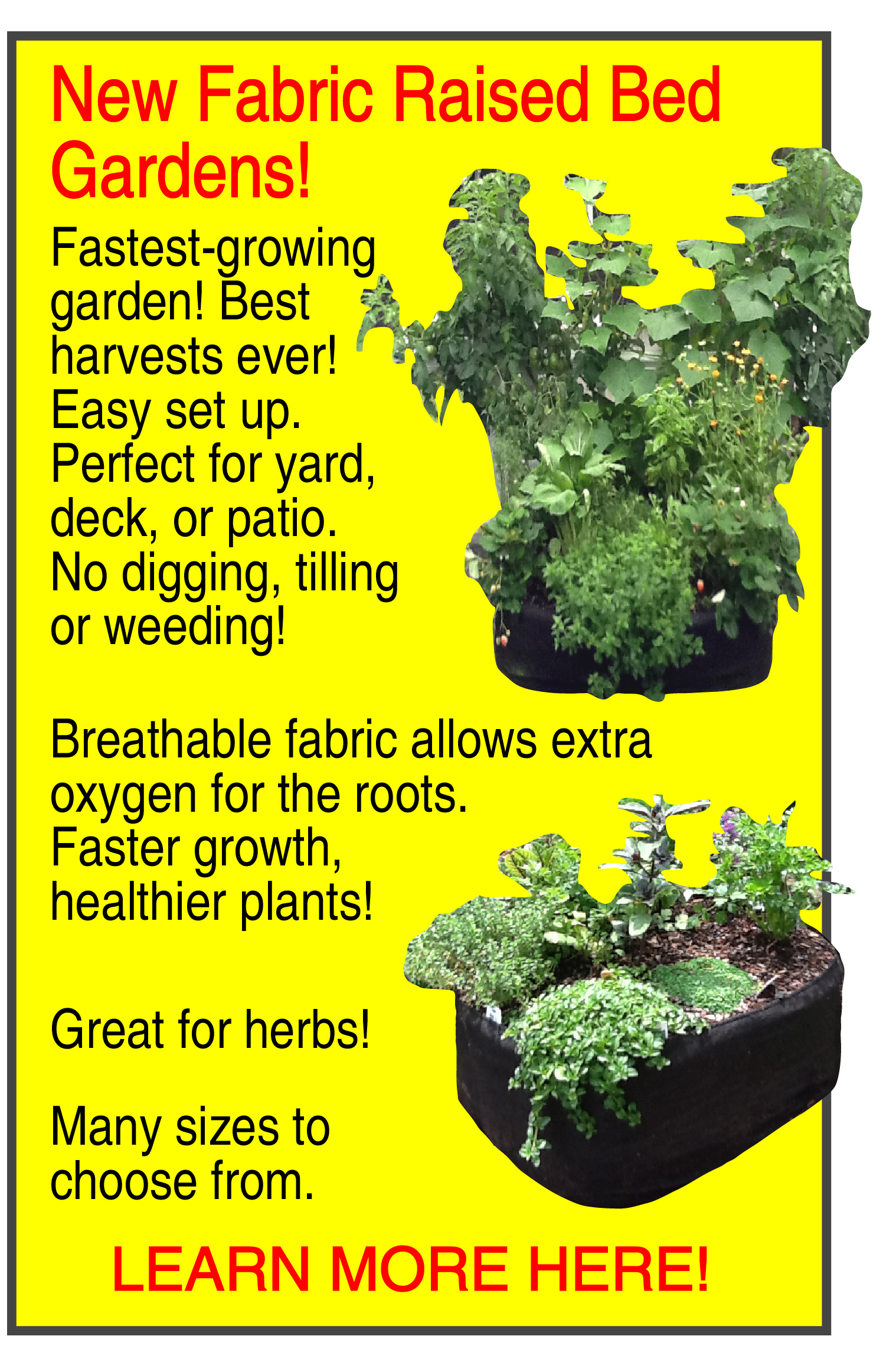 Organic Gardening|Organic Garden|Organic Vegetables|Instant ...